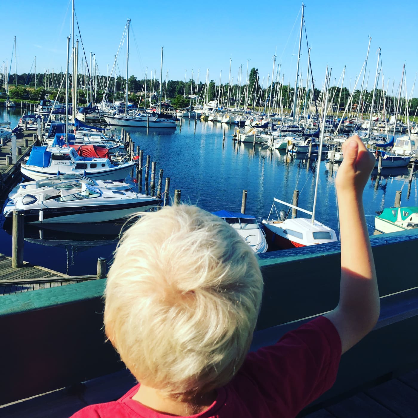 Barn i en lystbådehavn med sejlbåde om sommeren